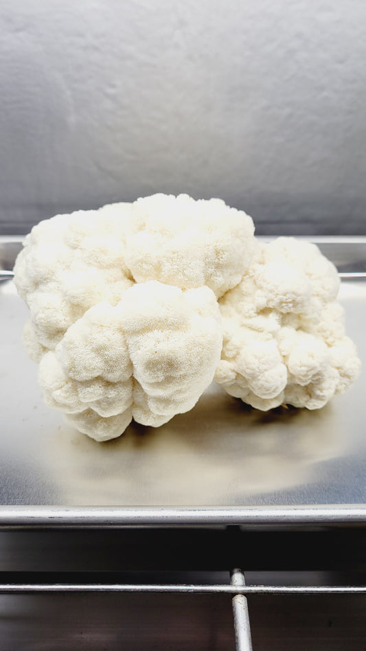 Lions Mane Mushroom