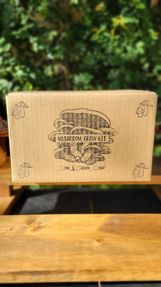 Mushroom Grow Kit